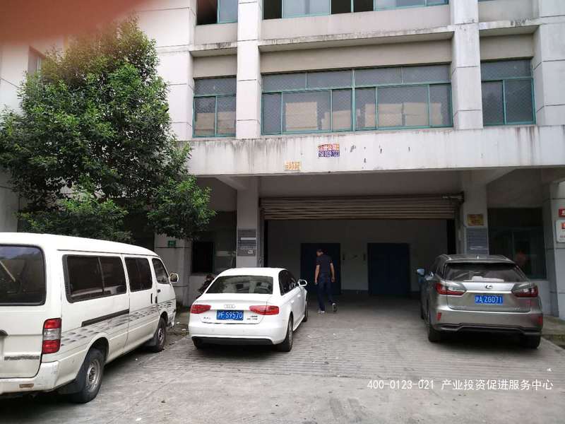 G2173 普陀区绥德路 仓库招租 上海普陀区桃浦地区标准仓库出租