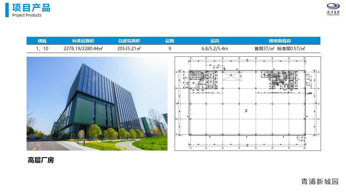 政策展示