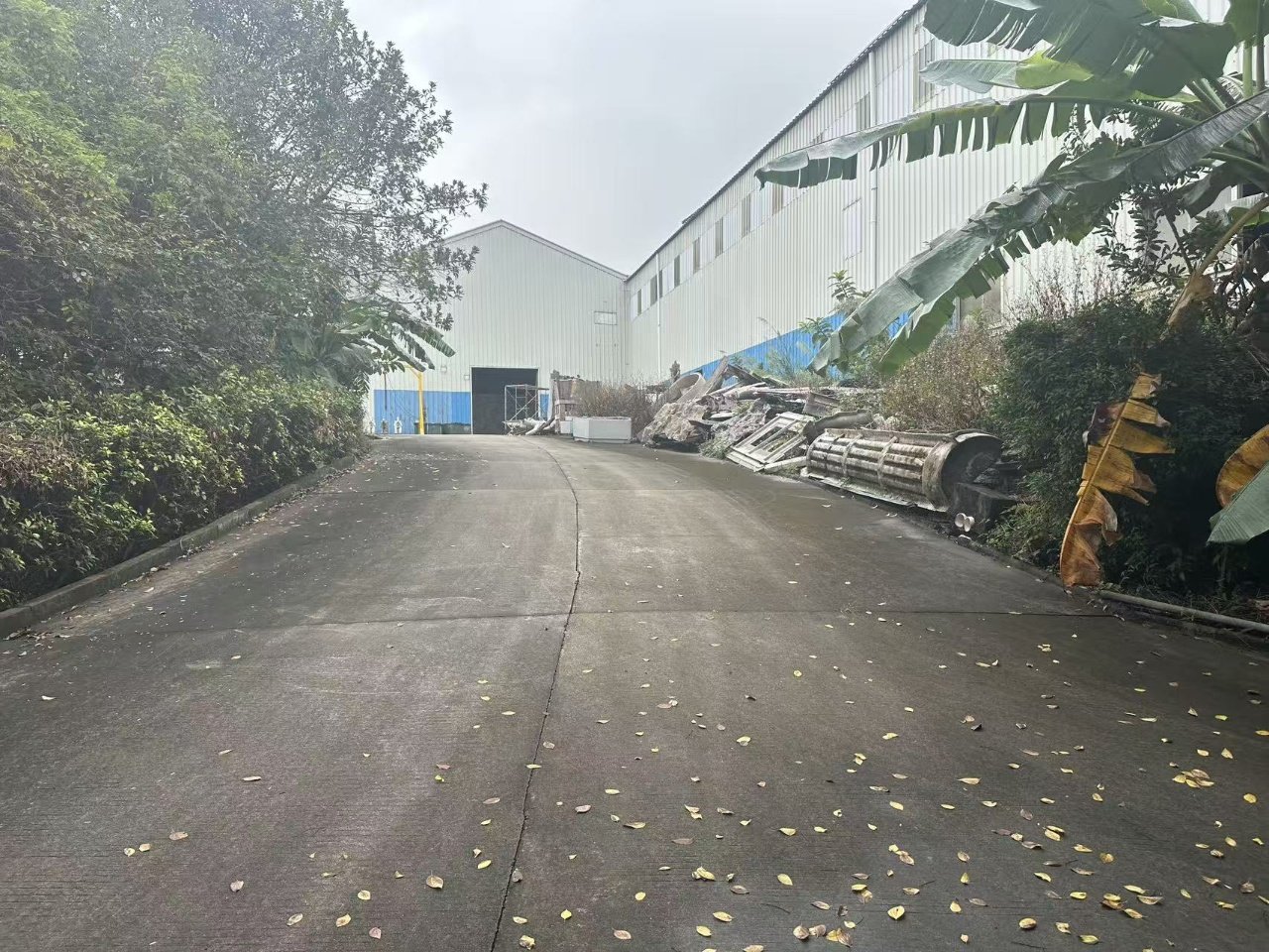 珠海斗门独院厂房实景3