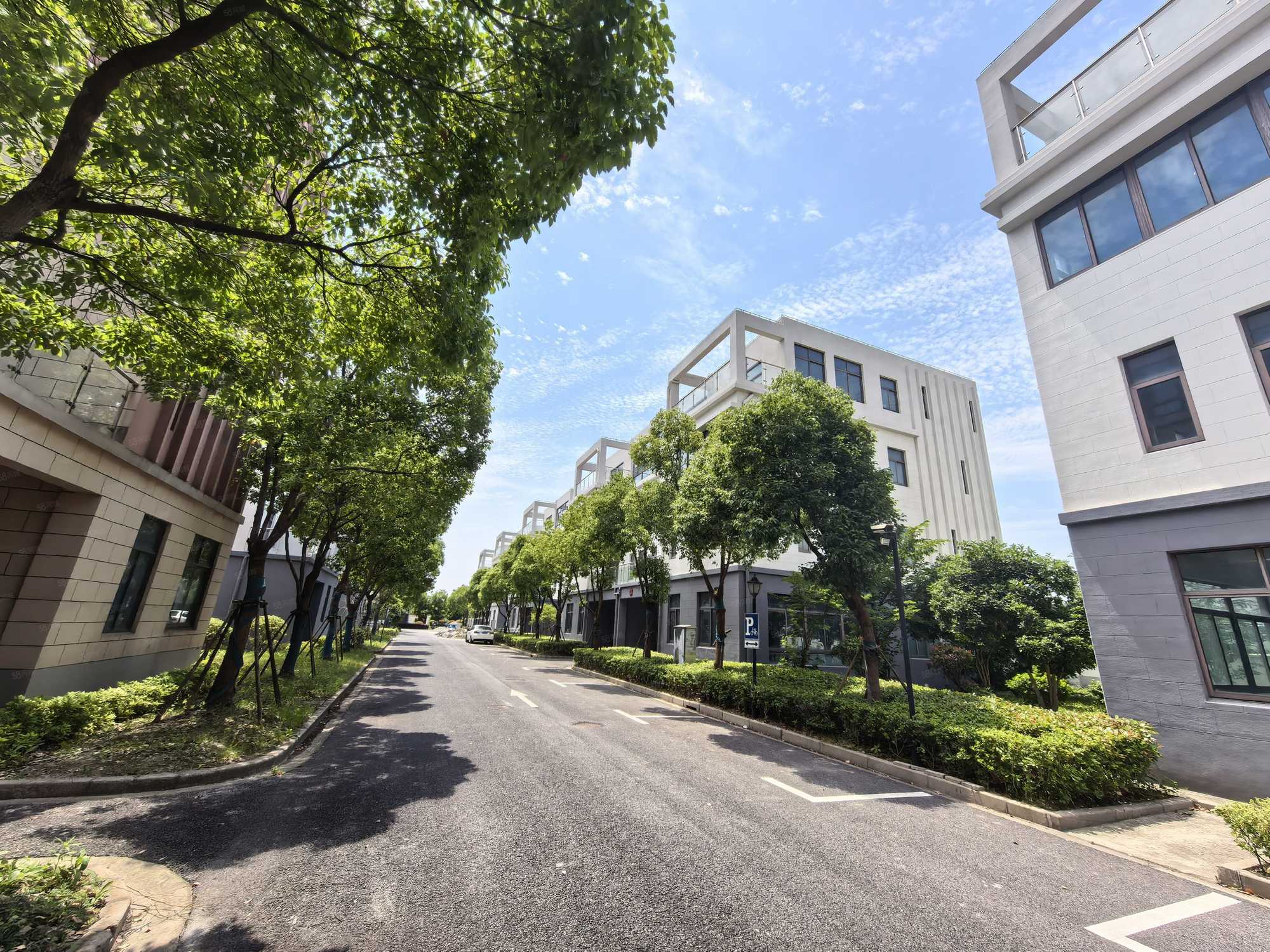 园区实景