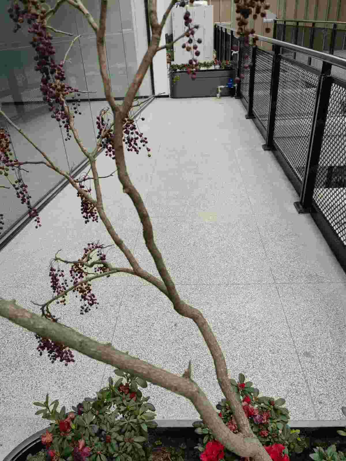 厂房实景