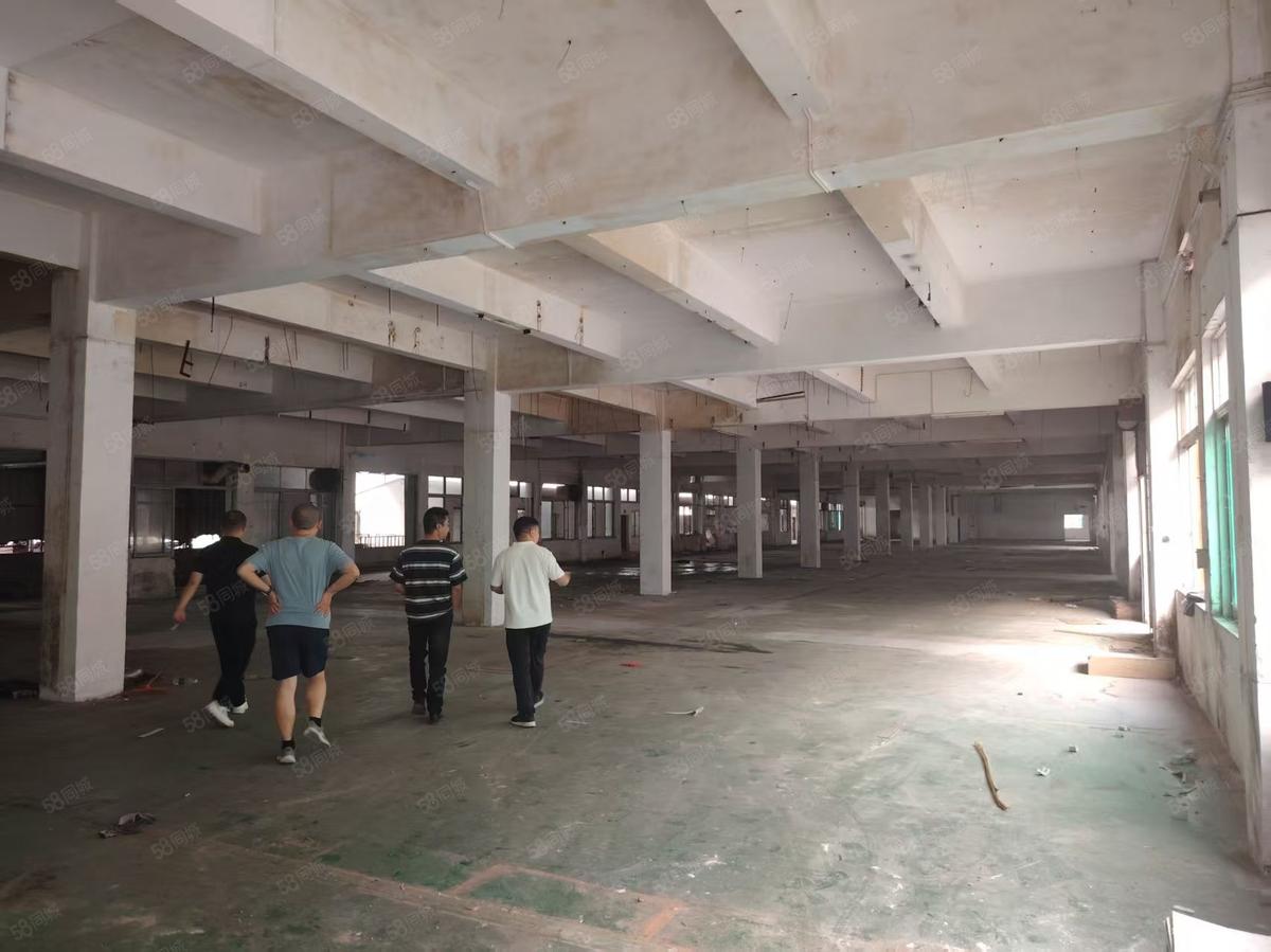 厂房实景