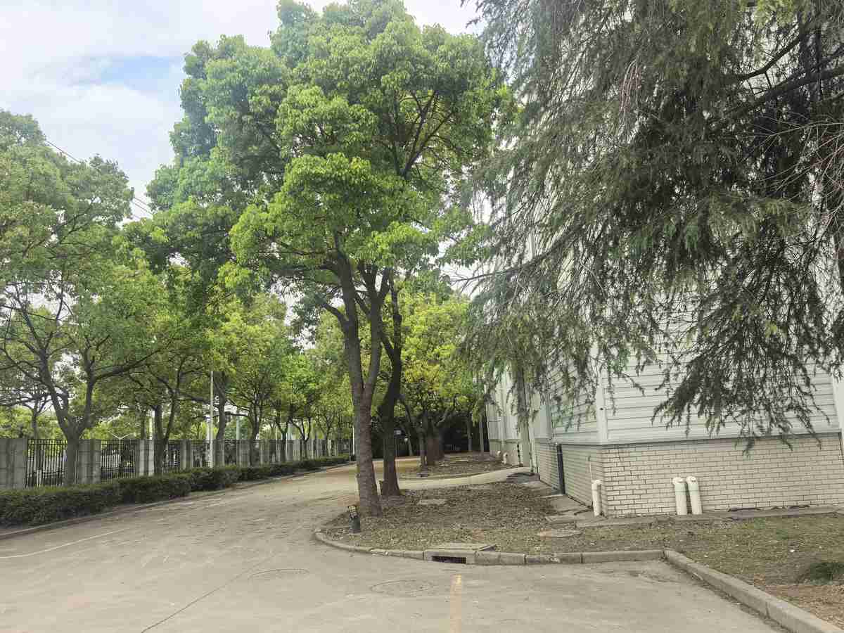 厂房实景