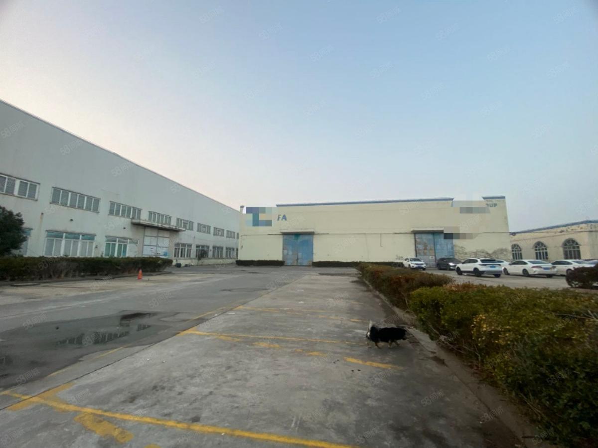 浦东号线口独门独院占地35亩产业园出售,层高13米104地块