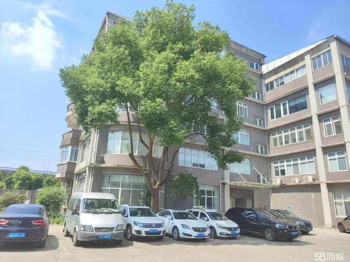 厂房实景