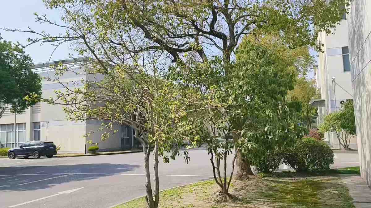 【推荐】上海58同城列表宝山区罗泾镇罗泾标准厂房出租宝山1500平单层104地块可环评