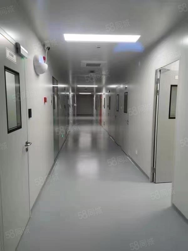 厂房实景