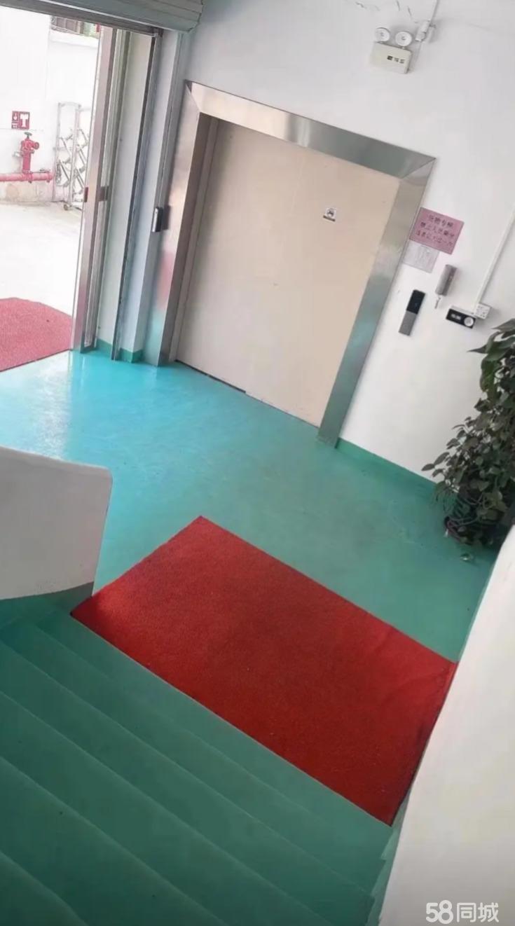 厂房实景