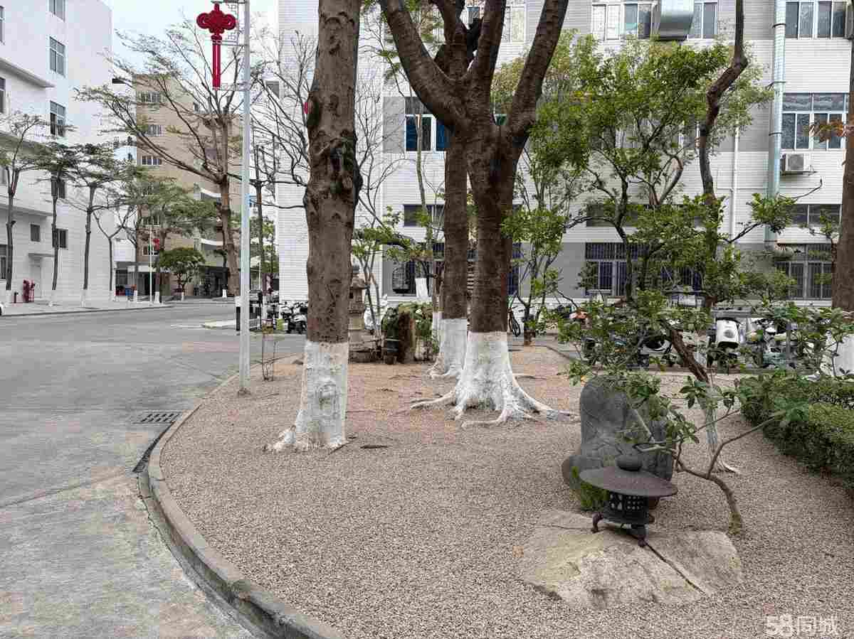 厂房实景