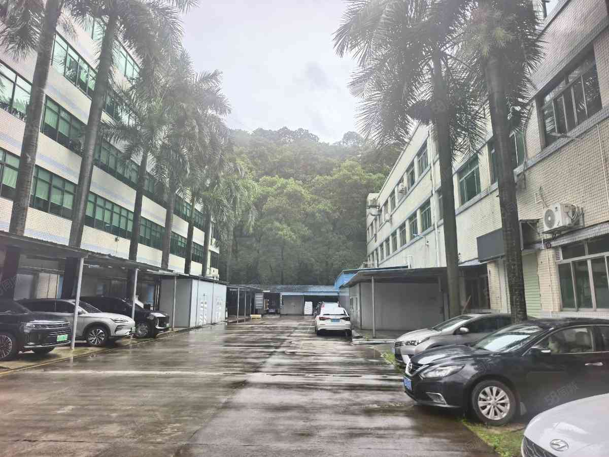 厂房实景