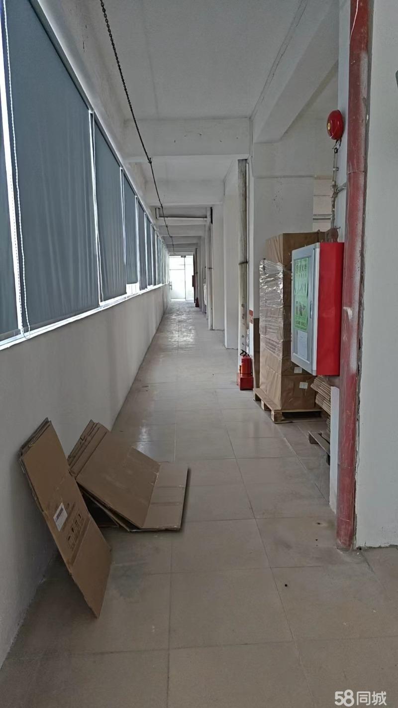 厂房实景