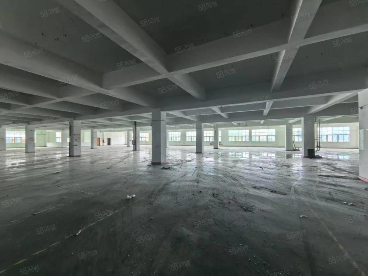 厂房实景