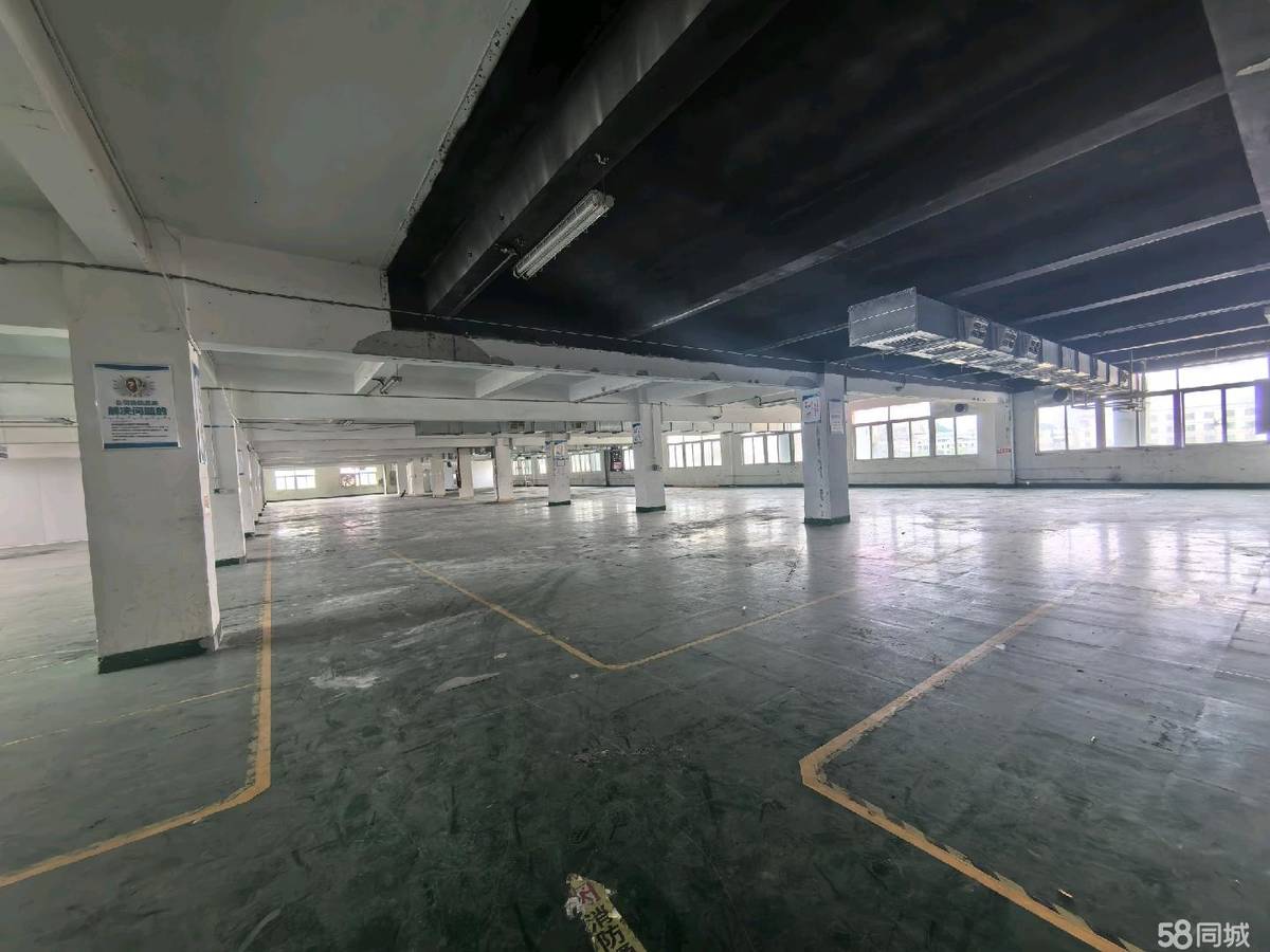 业主直租常平产业园厂房出租 户型方正，带环评东2400平出行便利主干道，设备齐全
