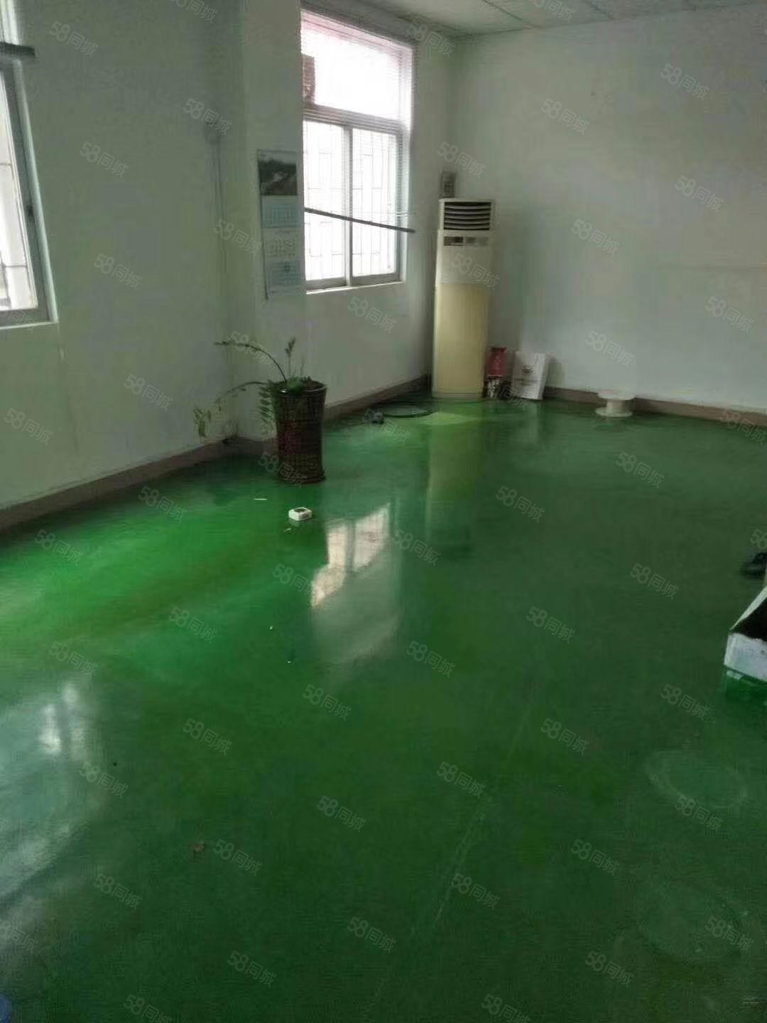 厂房实景