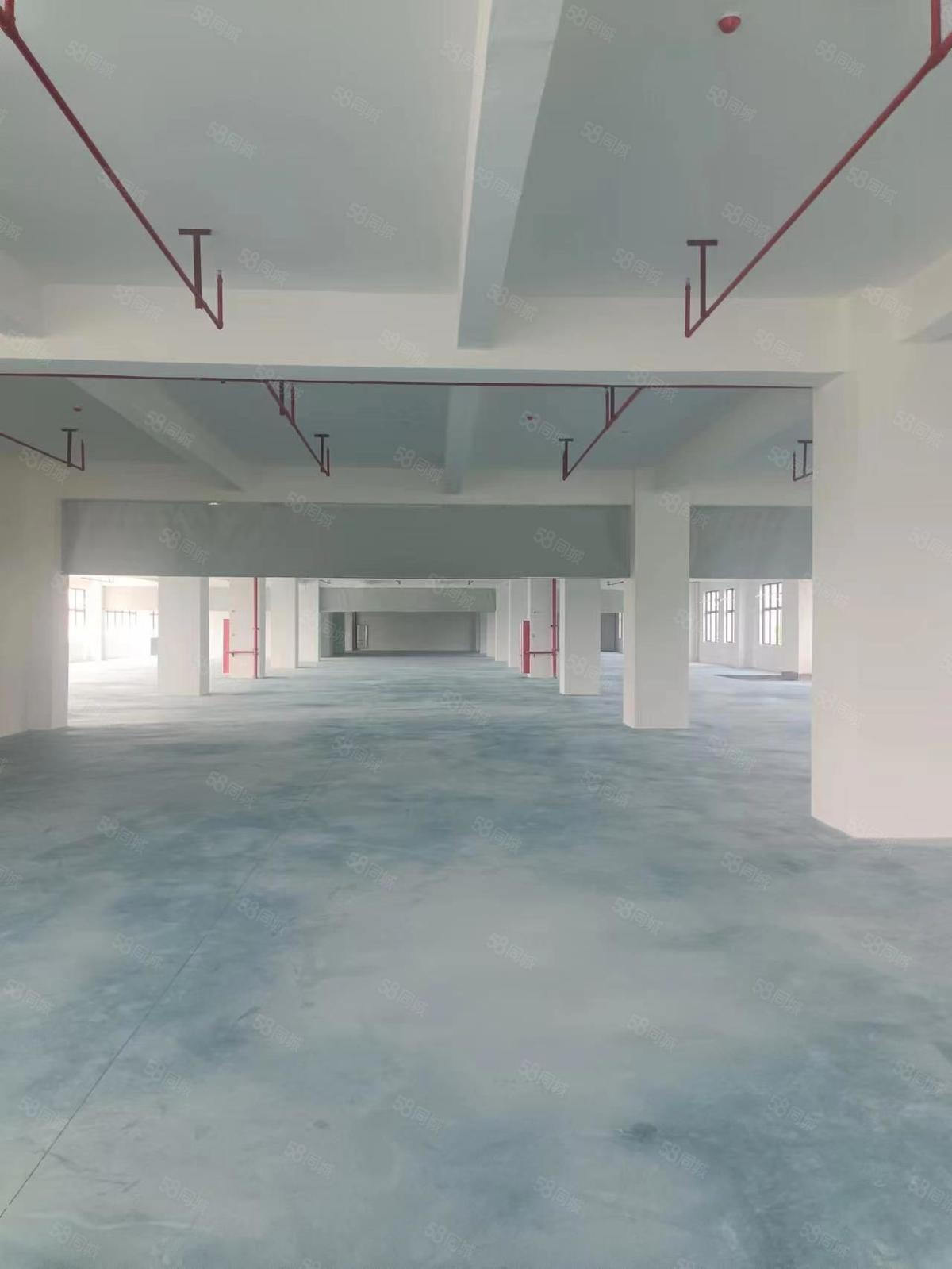 厂房实景