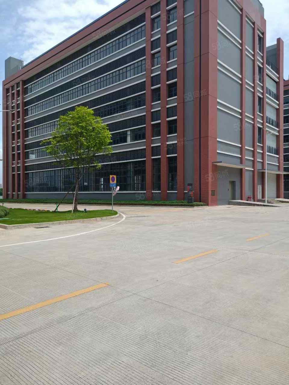 道滘独栋共五层总面积6500形象好空地大有喷淋易招工厂房出租多层出行便利