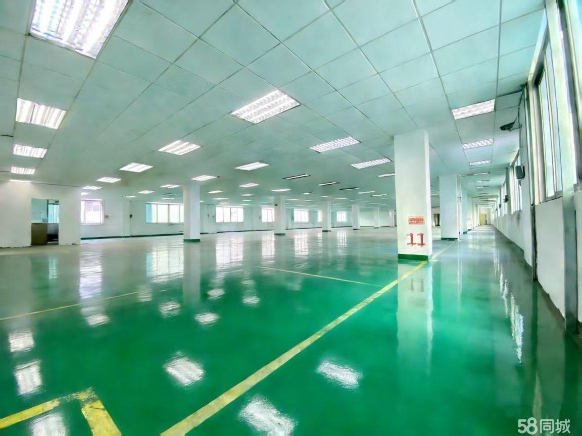 厂房实景
