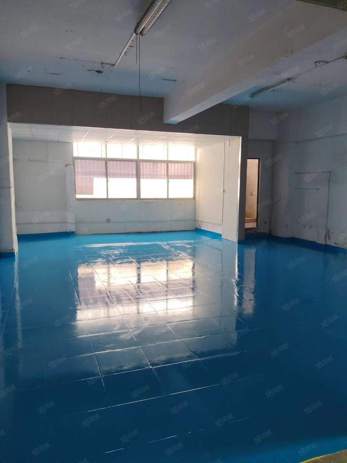 厂房实景