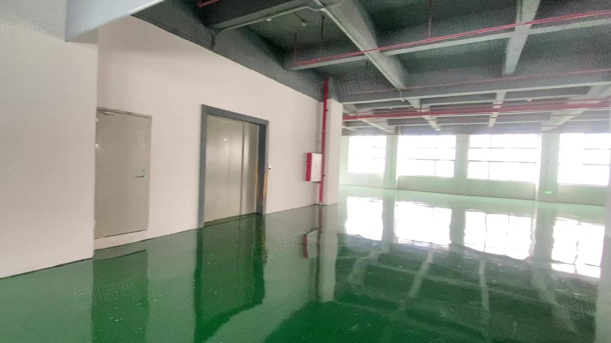 1350方和3700方多层可分租，【优质】上海全新地坪漆大开发区厂房出租