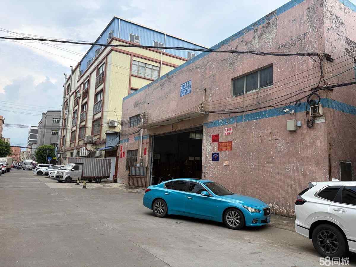 上海独门独院，上下货方便中山东凤东凤大道厂房出租仓1380平单层，门口路宽