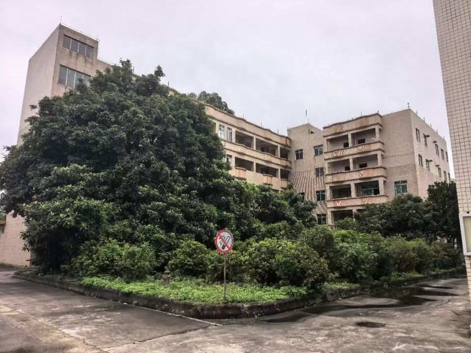 厂房实景
