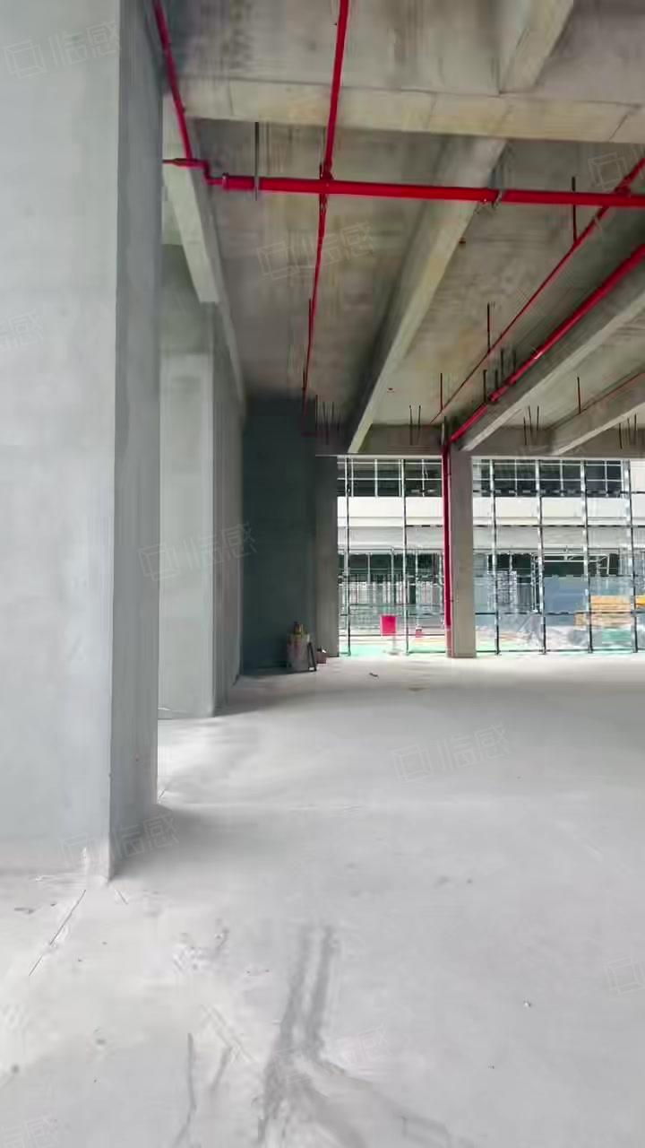 【优质】南京东南大学东门，单层搭配6部电梯厂房出租1088平，距轨交站900米