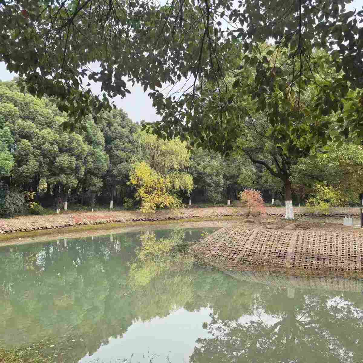 厂房实景