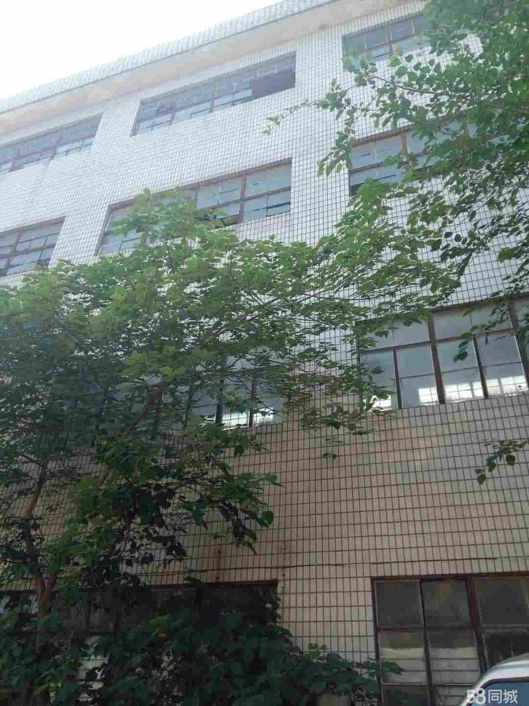 厂房实景
