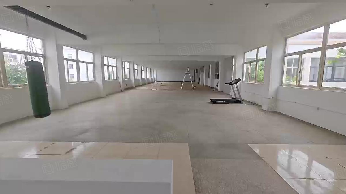 江宁区禄口陶吴仓库厂房出租200平起租挑高4米租金低南京江宁禄口厂500平独门独院 南京房东直租