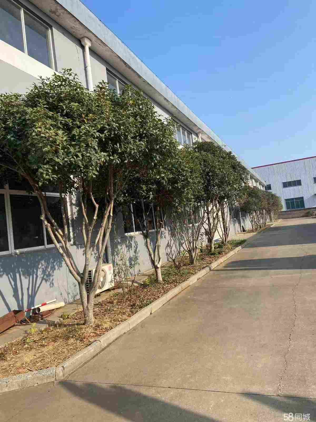 厂房实景
