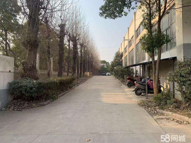 厂房实景
