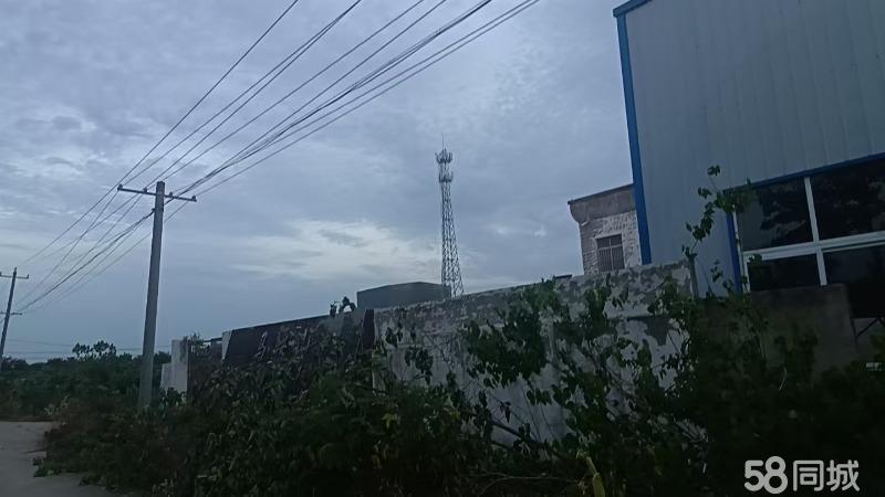 厂房实景