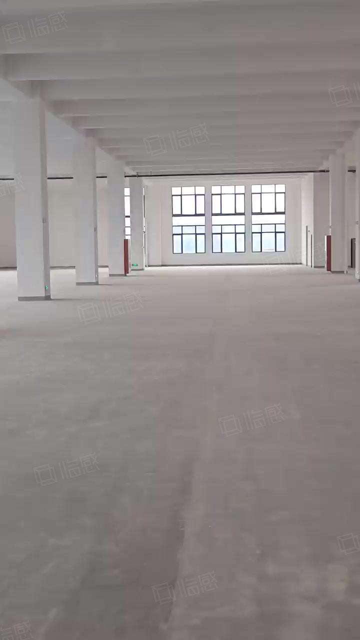 南京江宁区九龙湖苏源大道2000平厂房出租仓库挑高8米场3000平独门独院多层场地大