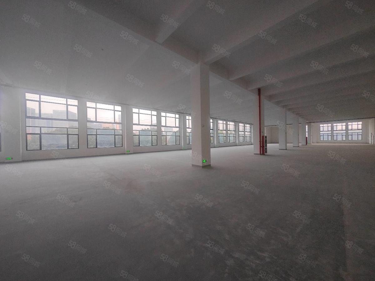厂房实景