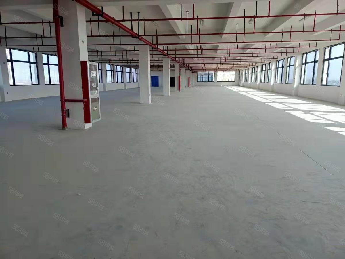 【推荐】南通通州金沙3000平方标准厂房出租！南通金沙厂房仓库土地车位出租单层