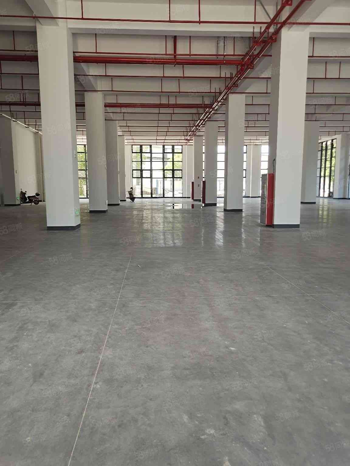 【优质】厦门产业区全新整栋厂房出租仓库行业不限环评好过出行便利大小可分15000平标准厂房多层