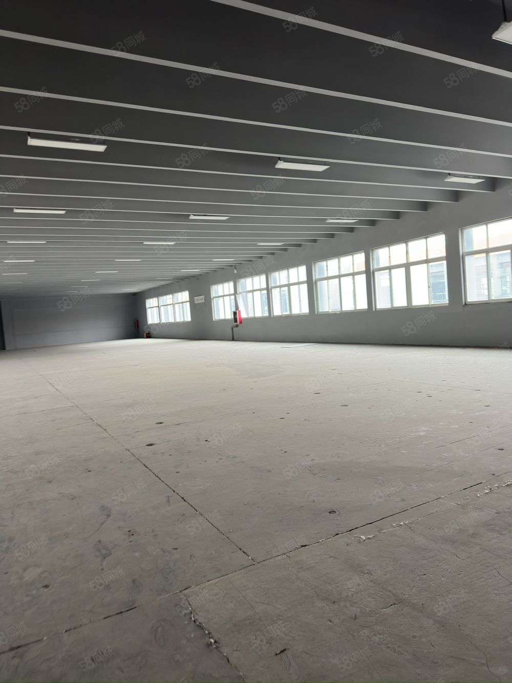 天津可分租，天津梅江附近通勤便利，价厂房出租多层，面积700多平