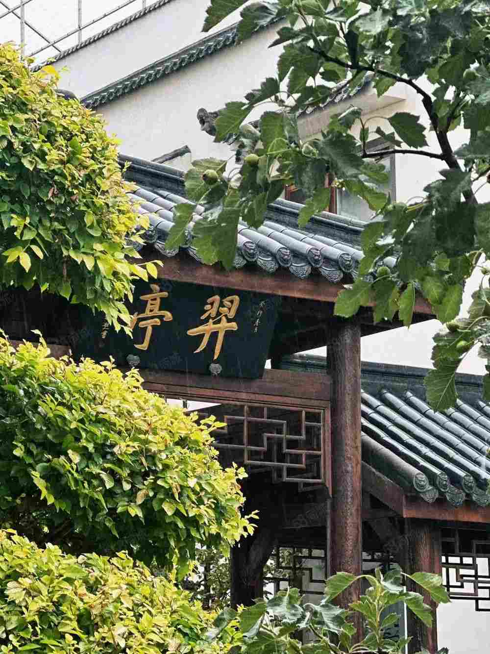 厂房实景