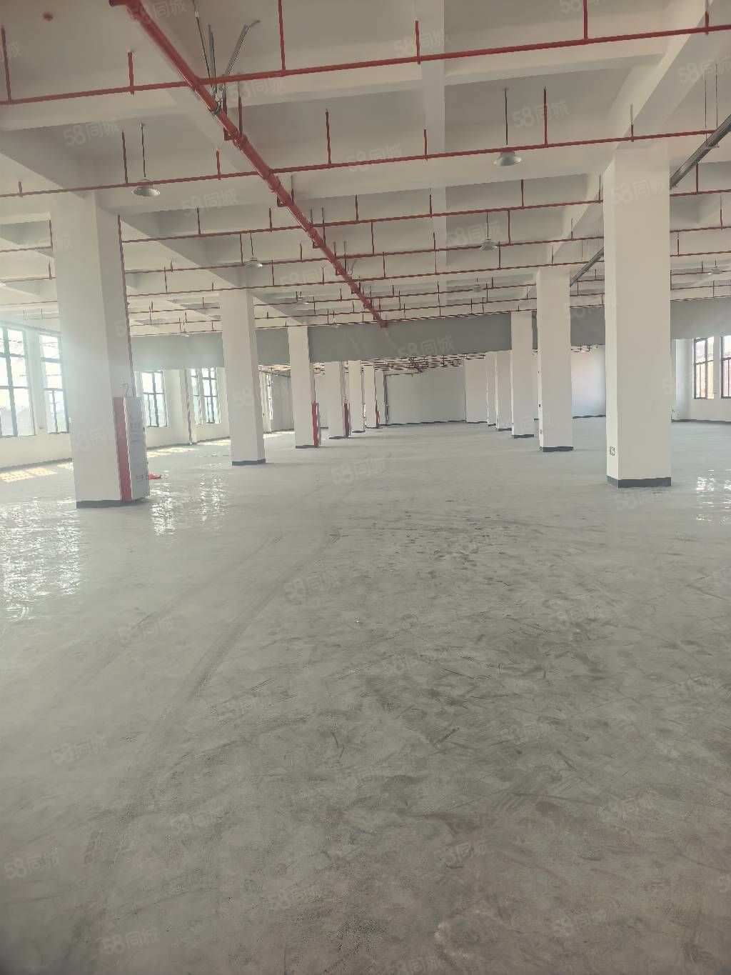 厦门制造区标准厂房出租5吨货梯行业不限环评好过招工方便招工1500平多层