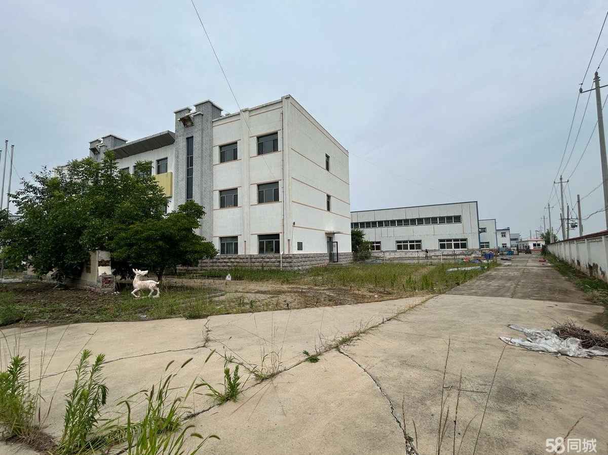 厂房实景