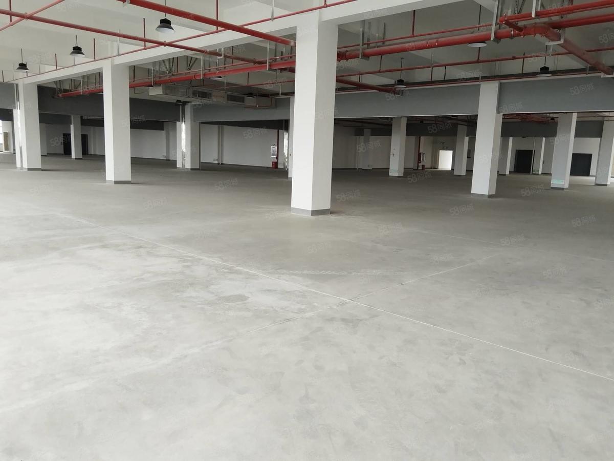 厂房实景