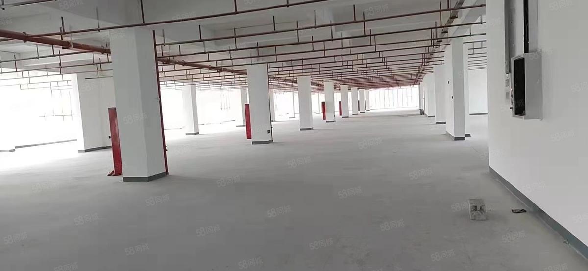 厂房实景