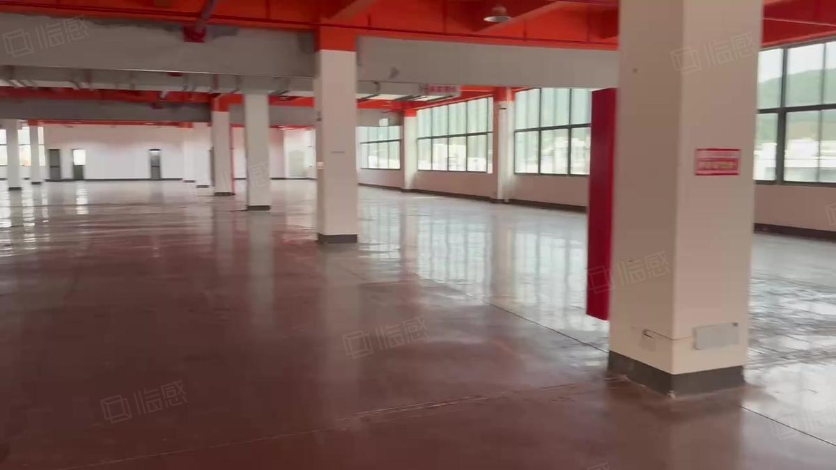 全新厂房出租厦门海沧独门独院标准厂房单层，厦门新阳产业区楼上2180平米