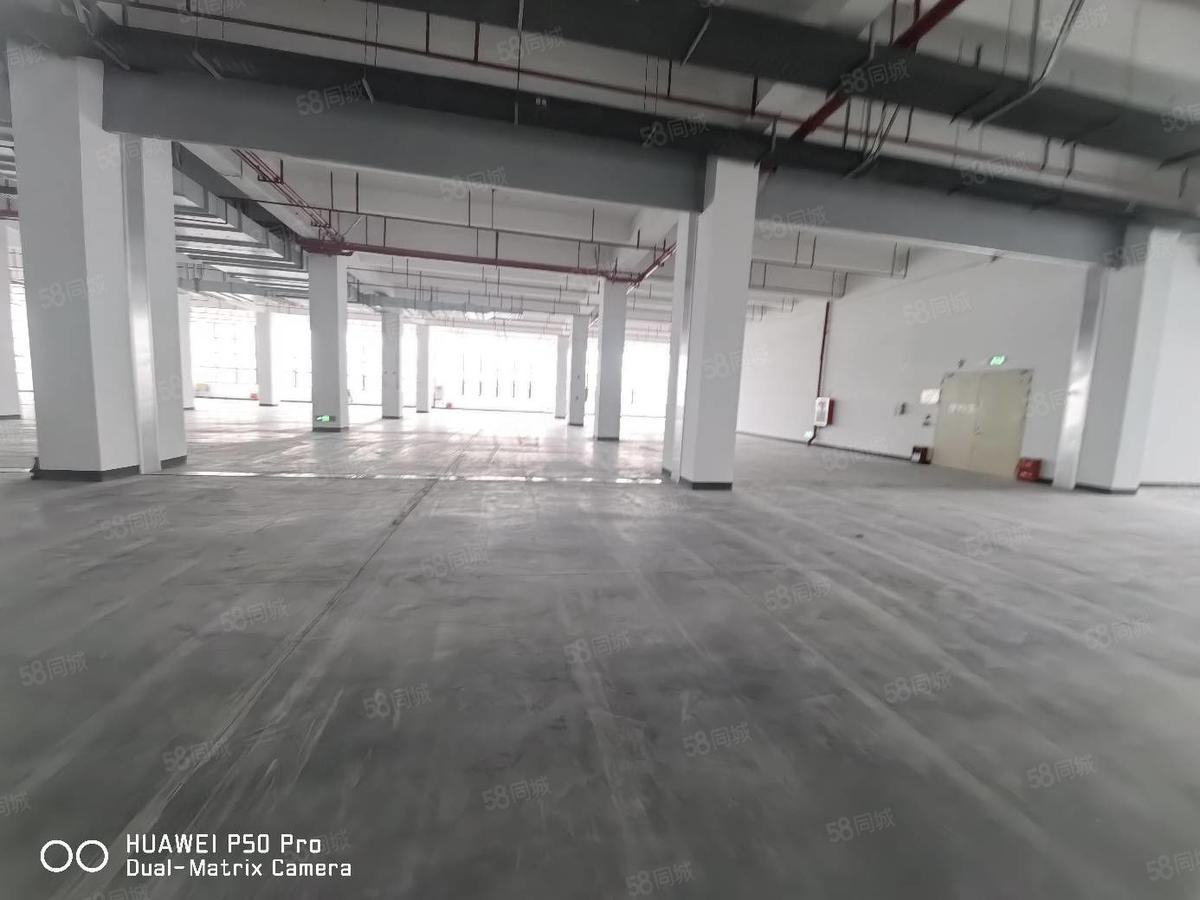 厂房实景