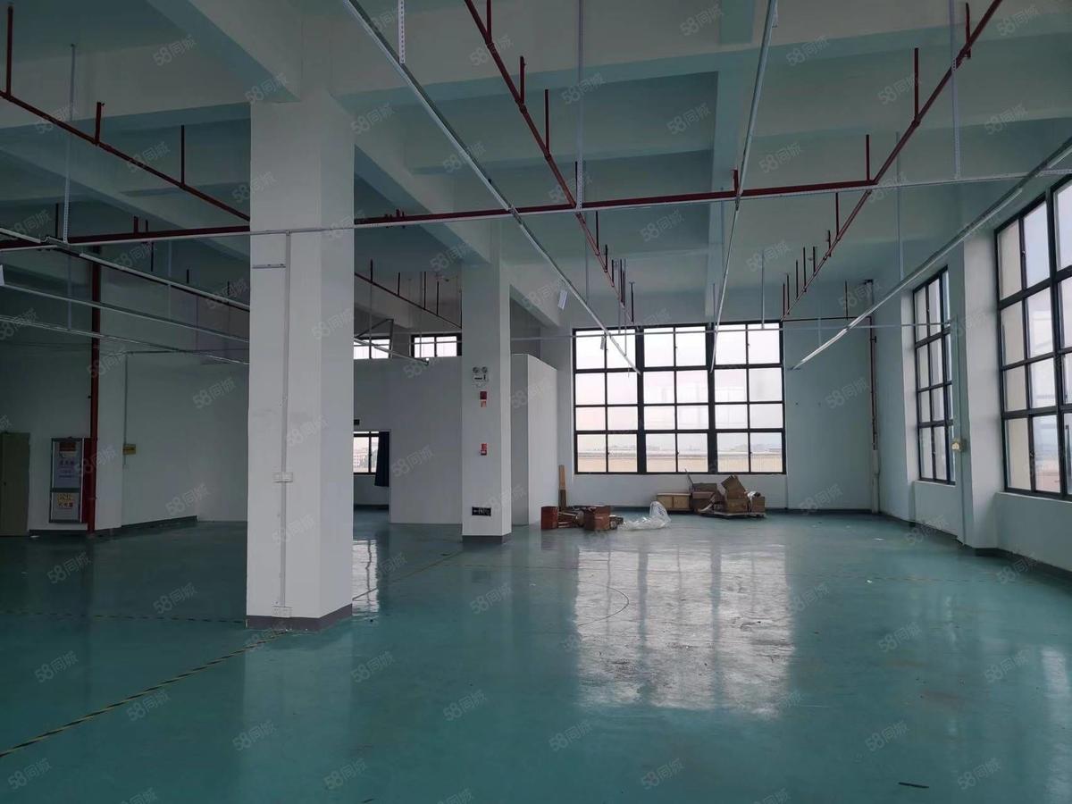 厂房实景