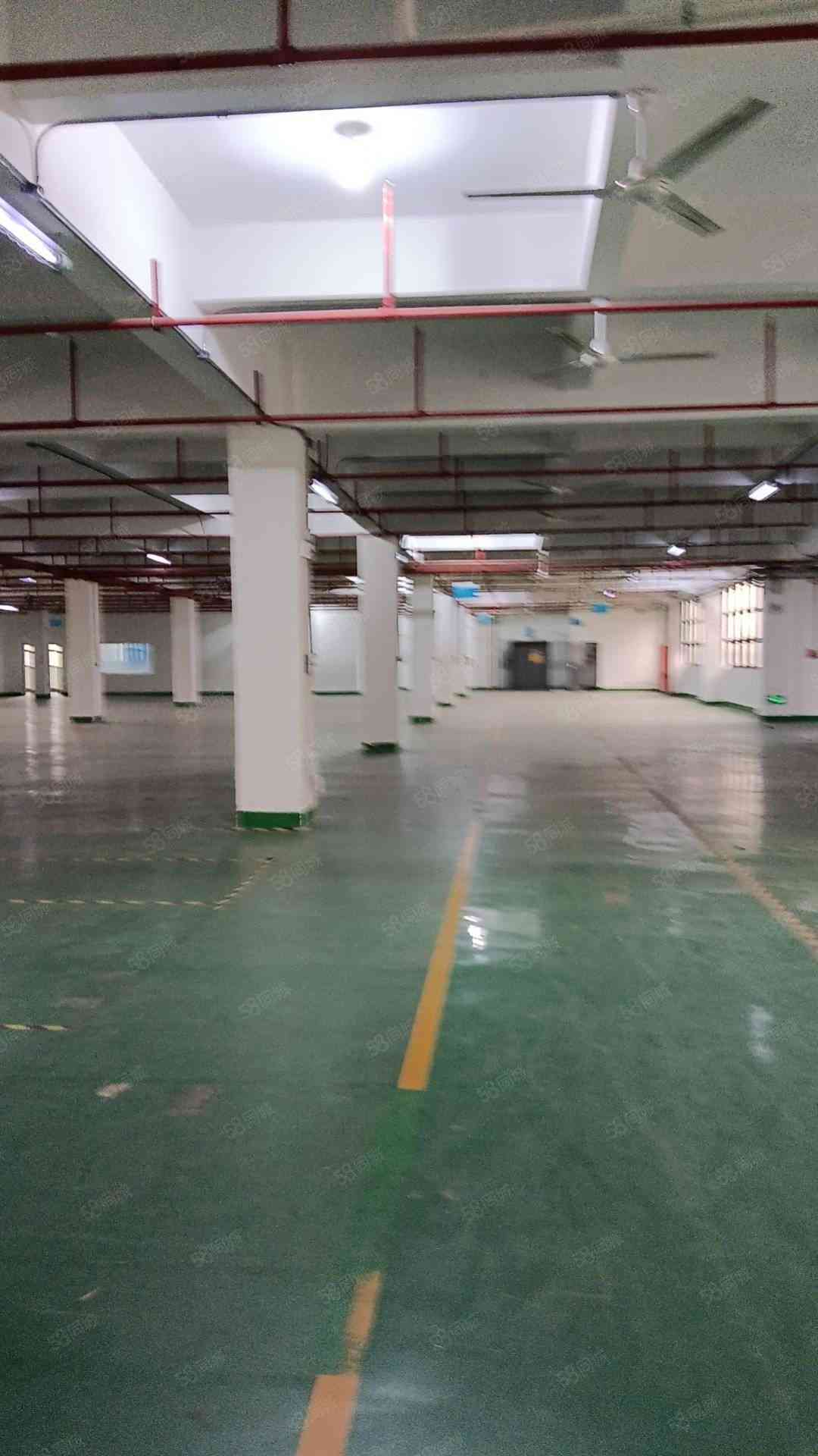 厂房实景