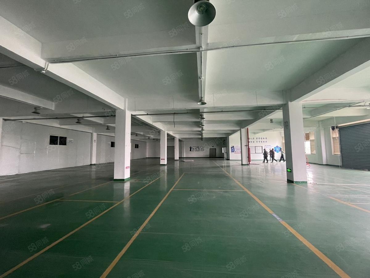 【推荐】厦门翔安火炬楼上无尘车间950平厂房出租多层
