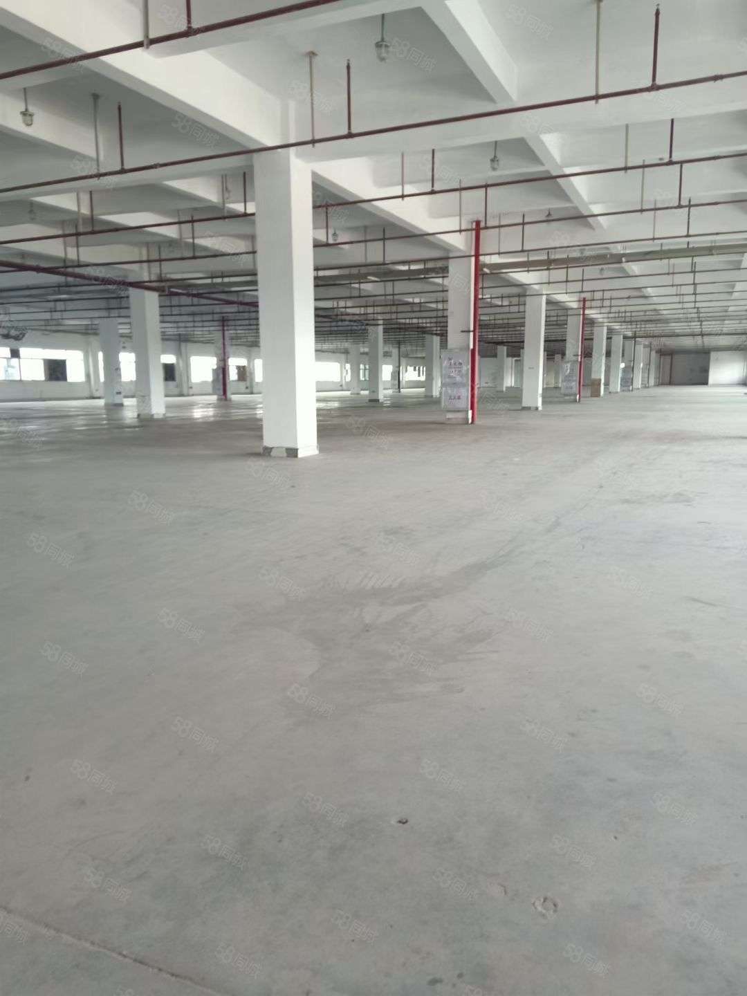 厂房实景