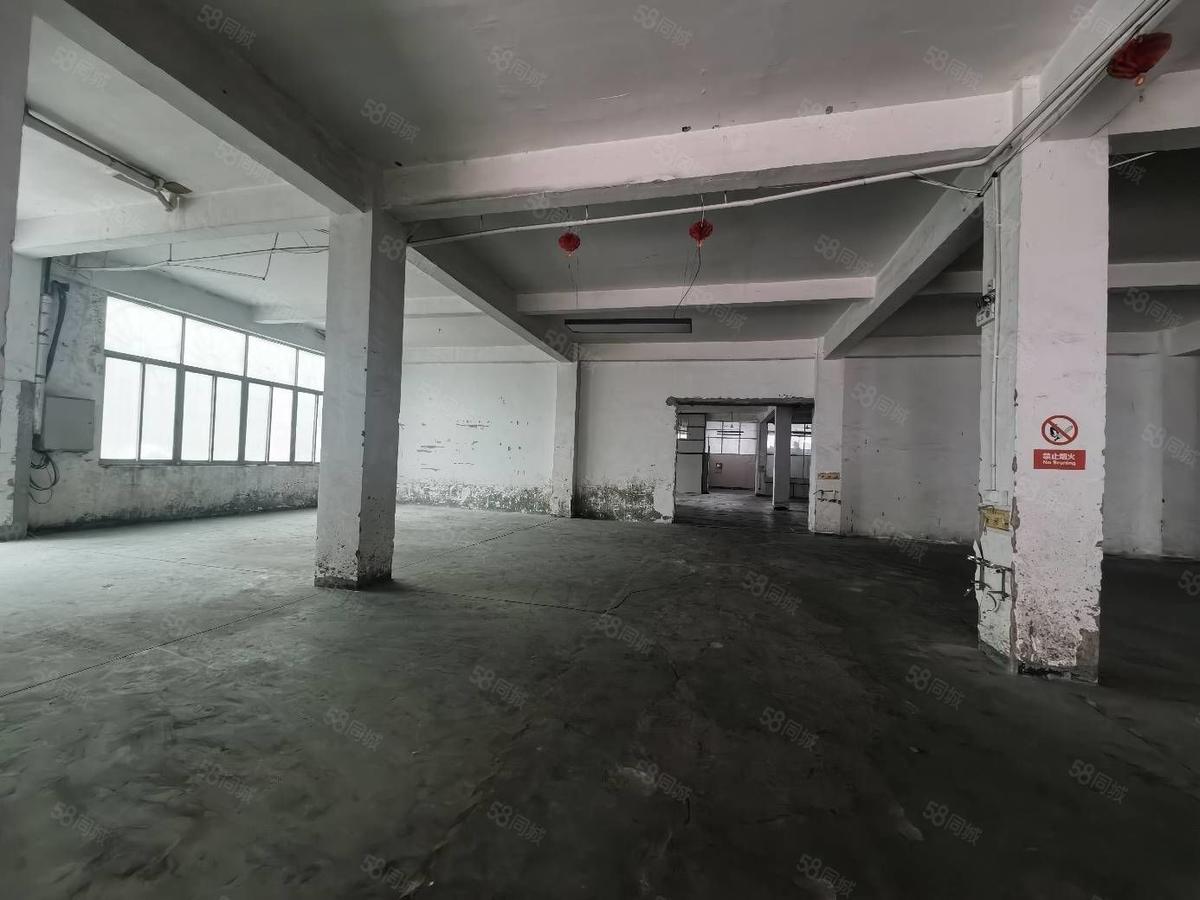 【优质】厦门6图殿前一楼仓库厂房出租1350平对半分租厦门湖里殿前厂房仓650平单层