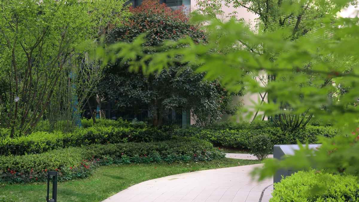 厂房实景